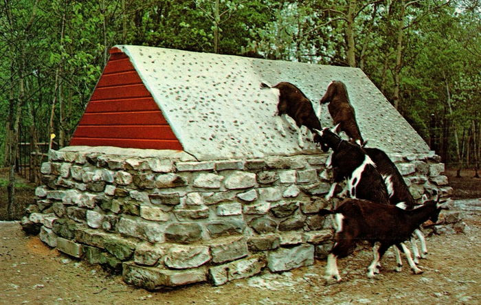 Deer Acres Storybook Amusement Park - Old Postcard (newer photo)